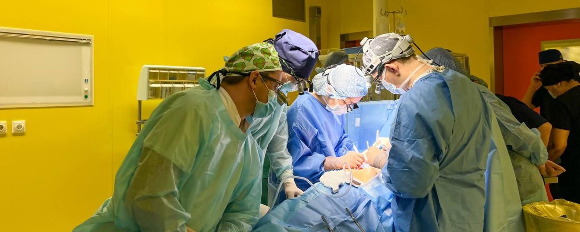 Мультиорганный забор органов провели хирурги в Алматинской области - Sputnik Казахстан, 1920, 19.01.2026