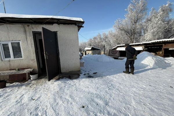 Алматы облысындағы Рысқұлов ауылы  - Sputnik Қазақстан