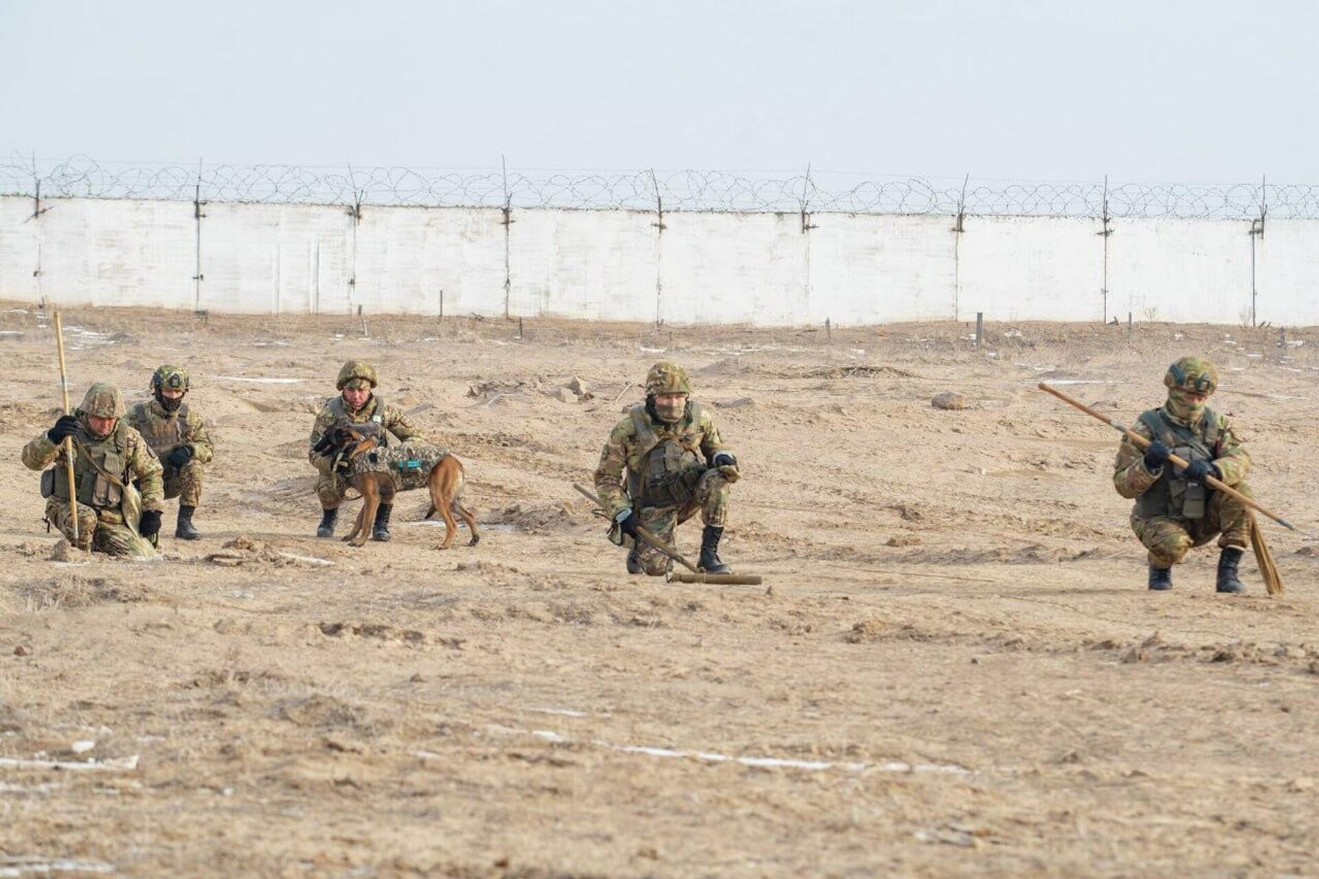 Занятия по разминированию территории - Sputnik Казахстан, 1920, 21.01.2026