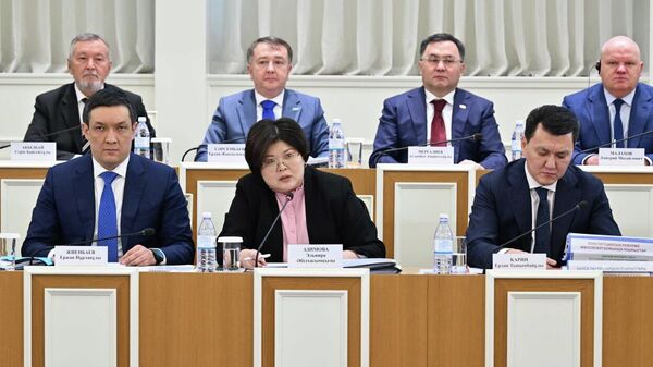 Эльвира Азимова на заседании комиссии по Конституционной реформе  - Sputnik Казахстан