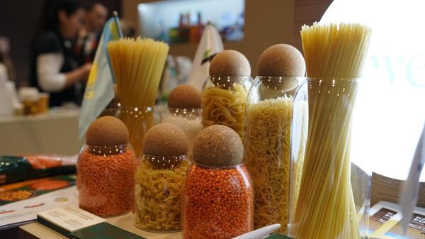 Казахстан представил Национальный павильон на международной выставке, архивное фото - Sputnik Казахстан