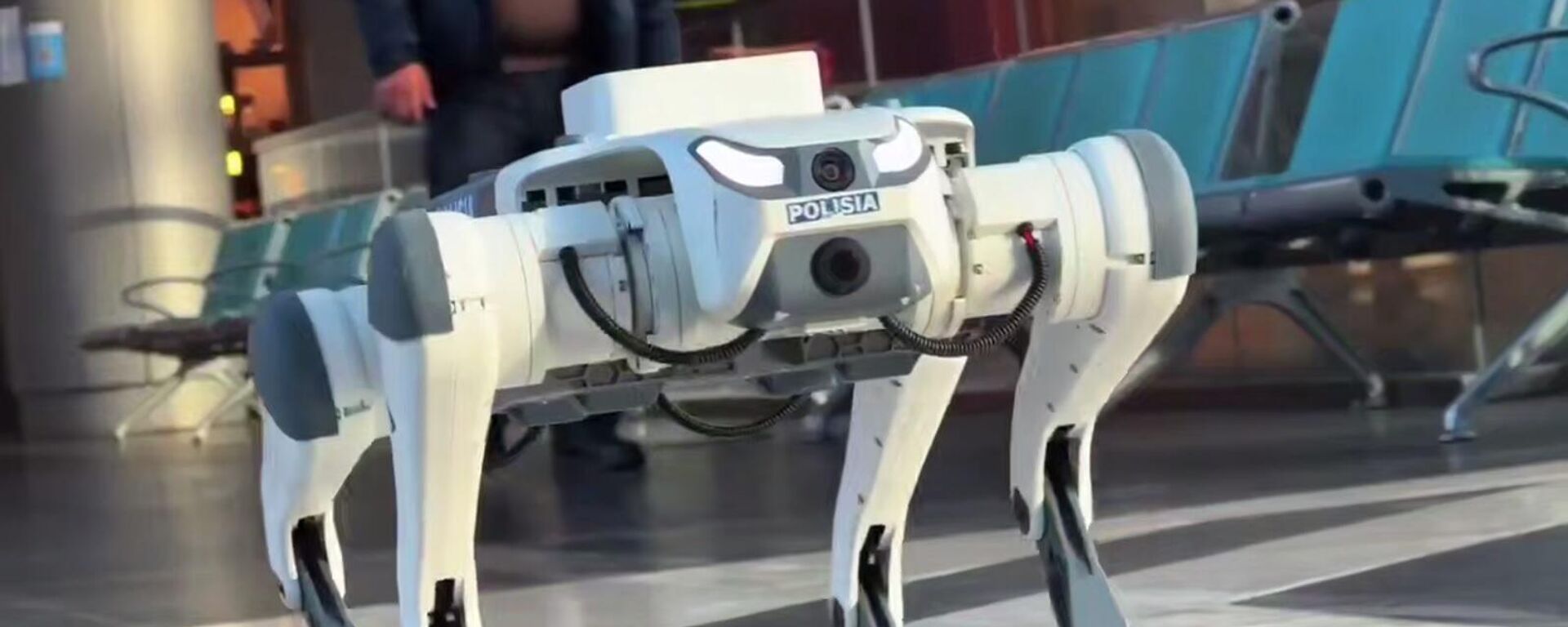 Робот патрулирует вокзалы и торговые центры Астаны - Sputnik Қазақстан, 1920, 28.01.2026