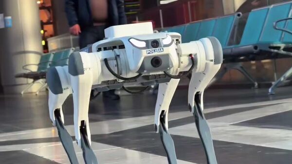 Робот патрулирует вокзалы и торговые центры Астаны - Sputnik Қазақстан