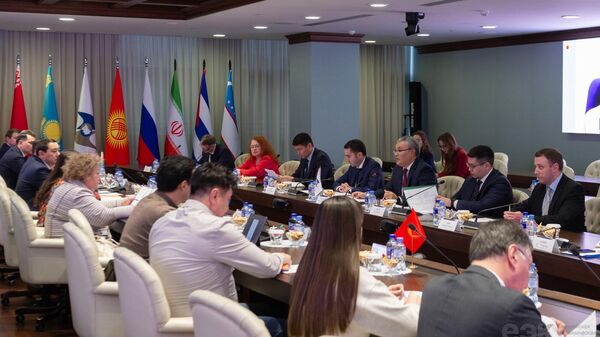 Развитие международной деятельности стран ЕАЭС обсудили в ЕЭК - Sputnik Казахстан