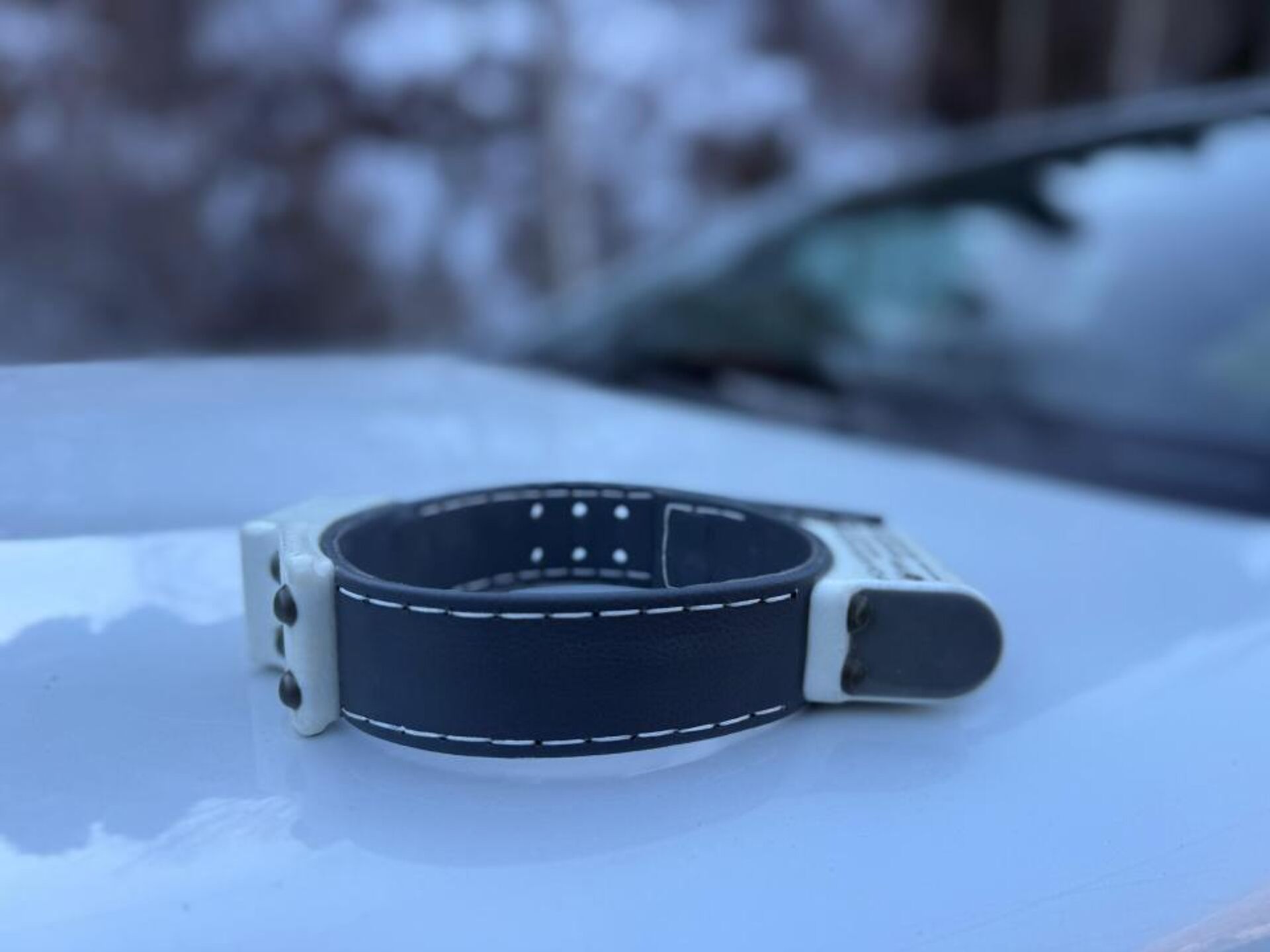 Снежному барсу установлен спутниковый ошейник для его защиты и мониторинга - Sputnik Казахстан, 1920, 05.02.2026