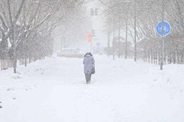 Снегопад в Астане - Sputnik Казахстан