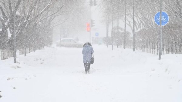 Снегопад в Астане - Sputnik Казахстан