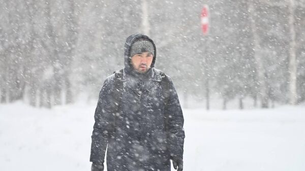 Снегопад в Астане - Sputnik Казахстан