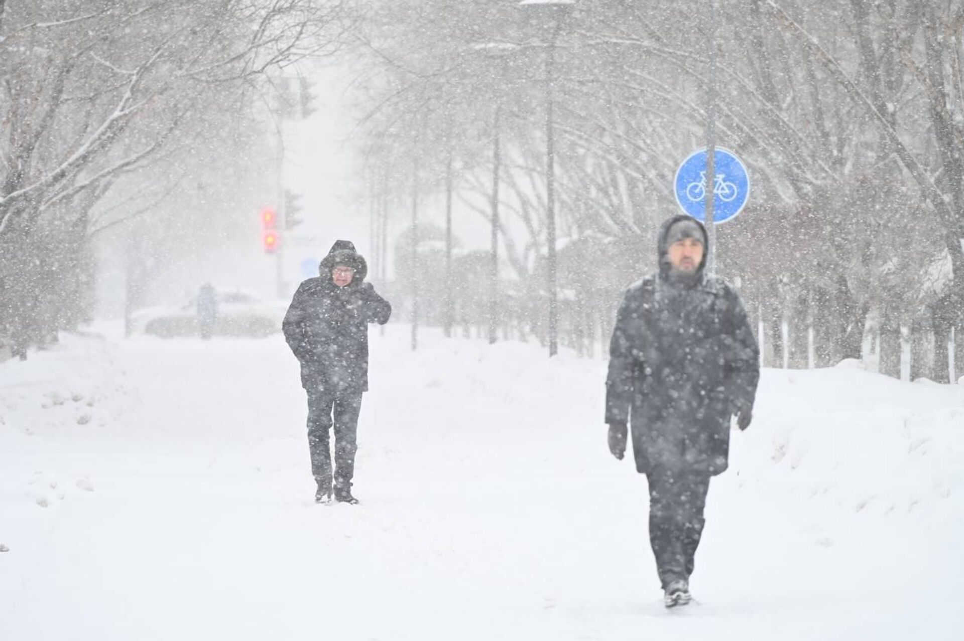 Снегопад в Астане - Sputnik Казахстан, 1920, 06.02.2026