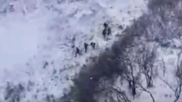 Боевики ВСУ в Запорожской области  - Sputnik Казахстан