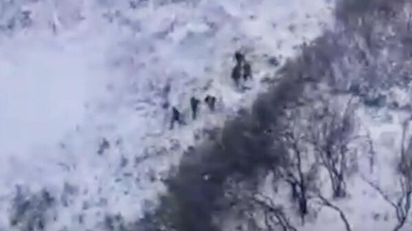 Боевики ВСУ в Запорожской области  - Sputnik Казахстан