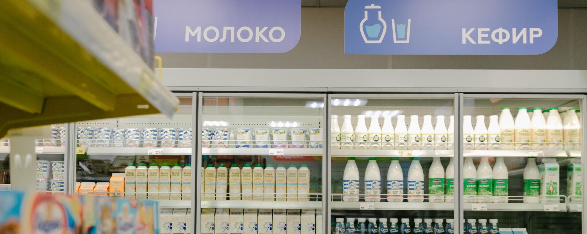 Молочная продукция на витрине магазина - Sputnik Казахстан, 1920, 06.05.2026