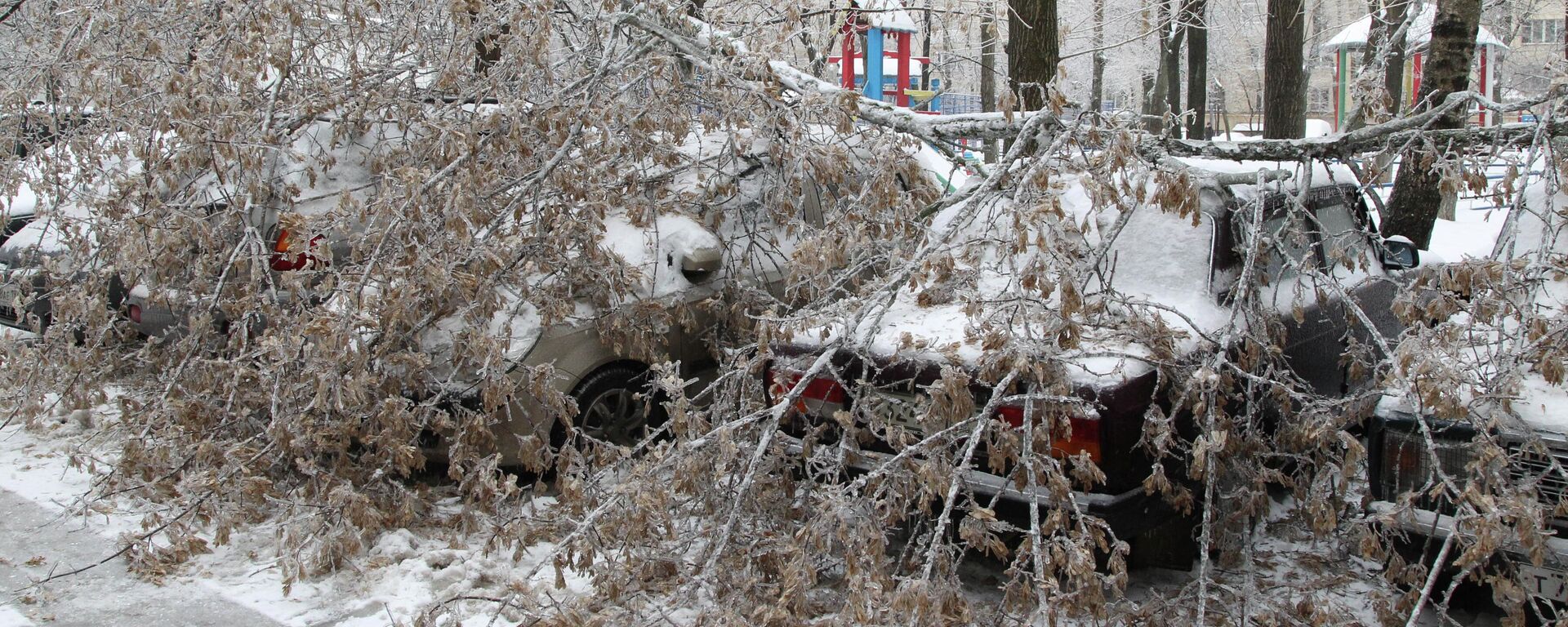 Архивтегі фото - Sputnik Қазақстан, 1920, 12.02.2026