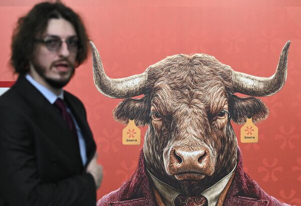 Изображение брутального "элитного" быка на сельскохозяйственной выставке "Казань Агро". - Sputnik Казахстан