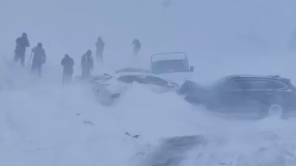 Автомобили столкнулись во время непогоды на автодороге Ушарал – Достык – гр. КНР - Sputnik Казахстан