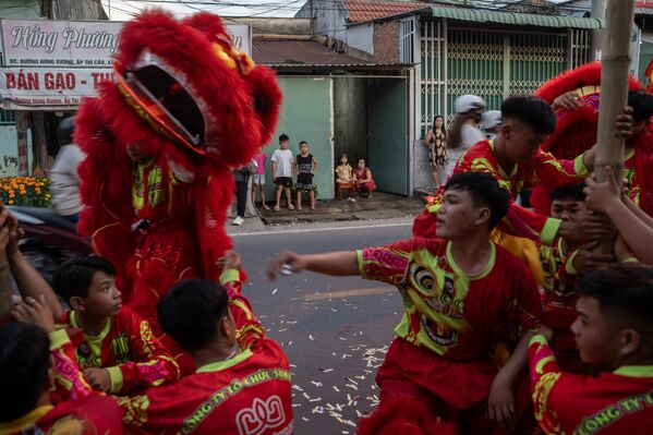 Он является символом нового года по лунному календарю.  На фото: празднование Нового года по лунному календарю во Вьетнаме. - Sputnik Казахстан