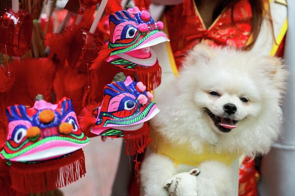 Считается, что год Красной Огненной Лошади принесет удачу харизматичным, амбициозным, целеустремленным людям. Поскольку эти черты характера приписывают Лошади, как одному из активных и самых упрямых знаков гороскопа.На фото: празднование Нового года по лунному календарю в Таиланде. - Sputnik Казахстан