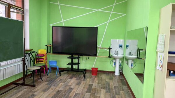 Алматыда 245 ерекше бала білім алатын инклюзивті мектеп жабылуға шақ тұр - Sputnik Қазақстан