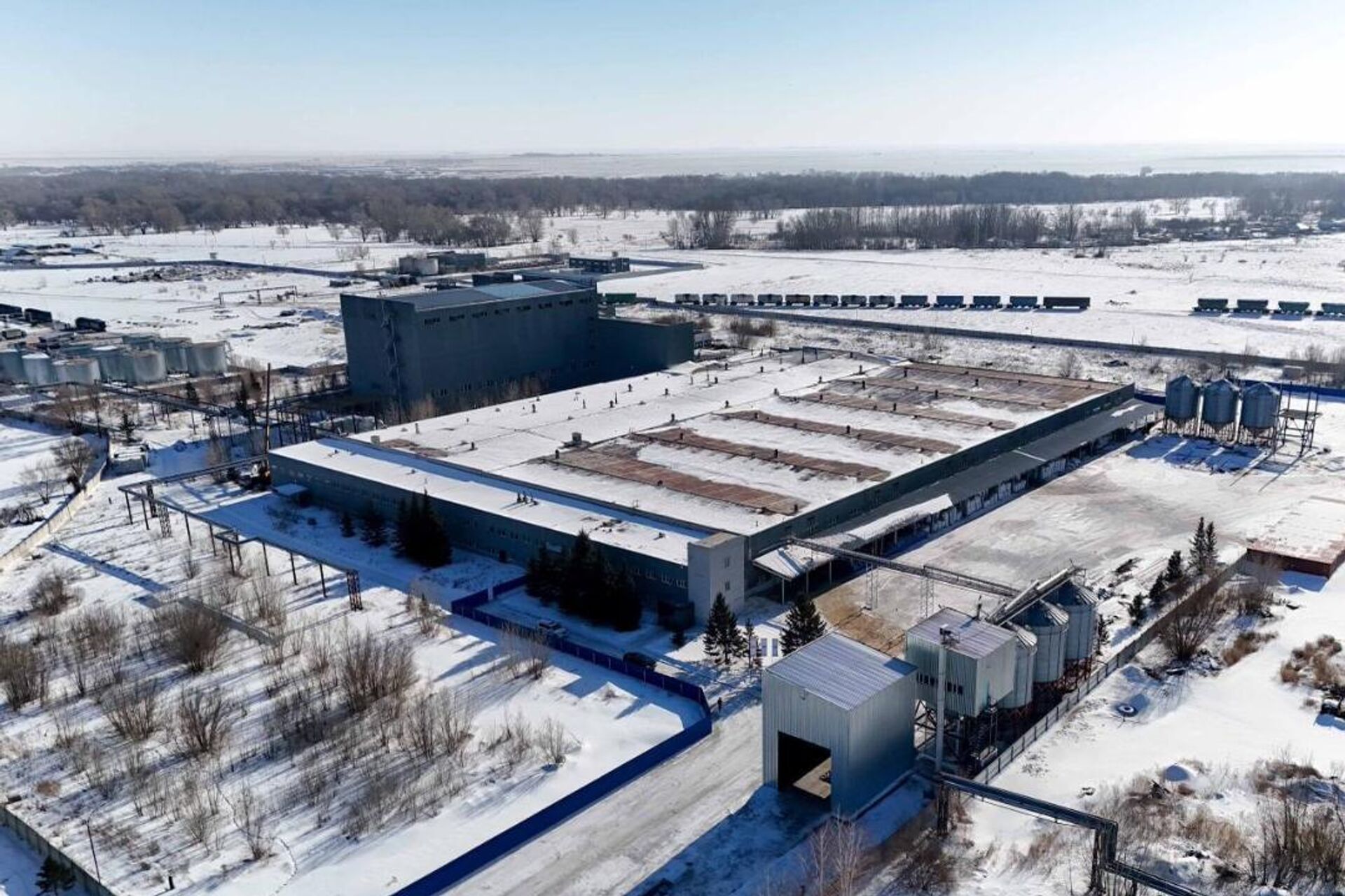 Абай облысында майлы дақылдарды өңдейтін зауыт іске қосылды - Sputnik Қазақстан, 1920, 17.02.2026