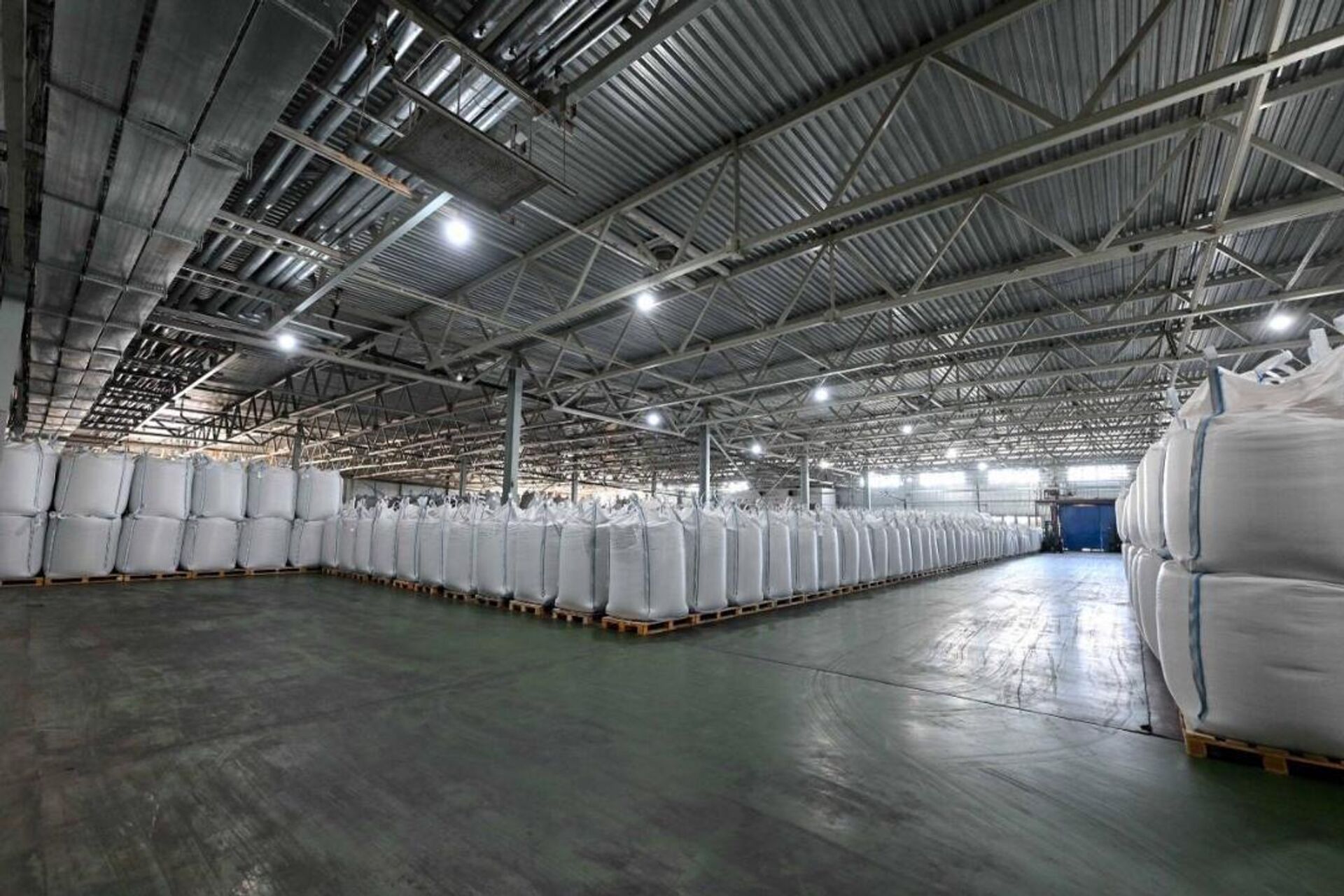 Абай облысында бұршақ және майлы дақылдарды өңдейтін зауыт іске қосылды - Sputnik Қазақстан, 1920, 17.02.2026