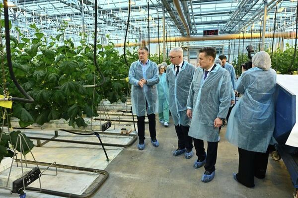 Делегация Восточно-Казахстанской области посетила предприятия и теплицу в Барнауле - Sputnik Казахстан