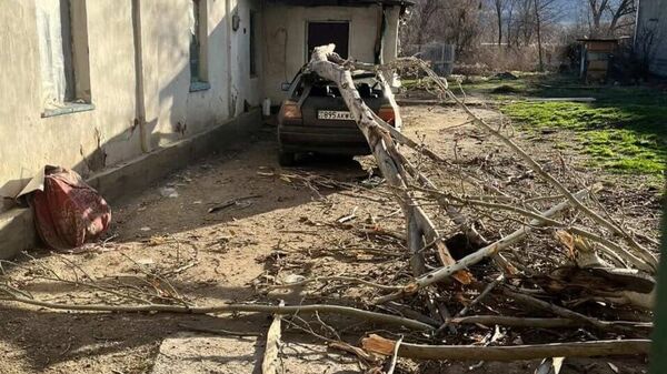 Сильный ветер разрушил автомобили и строения в Жамбылской области - Sputnik Қазақстан