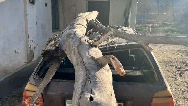 Сильный ветер разрушил автомобили и строения в Жамбылской области - Sputnik Казахстан