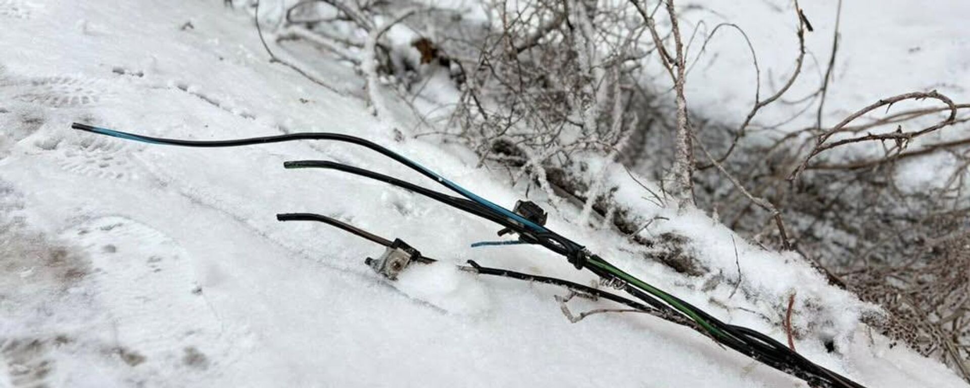 Қызылордада қатты жел электр сымдарын зақымдап, ағаштарды құлатты - Sputnik Қазақстан, 1920, 26.02.2026