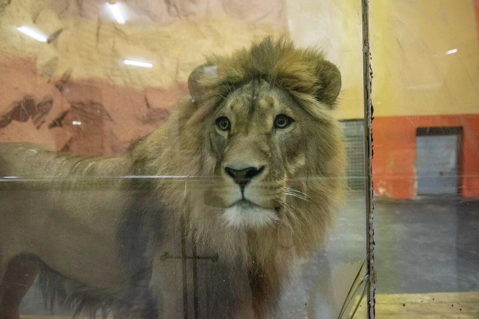 Лев Джума - Sputnik Казахстан, 1920, 04.03.2026