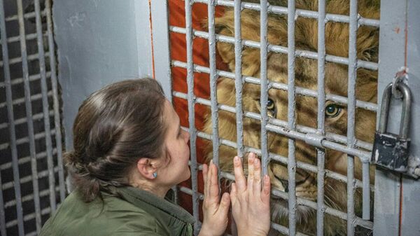 Юлия Дудкина и лев Артик - Sputnik Казахстан