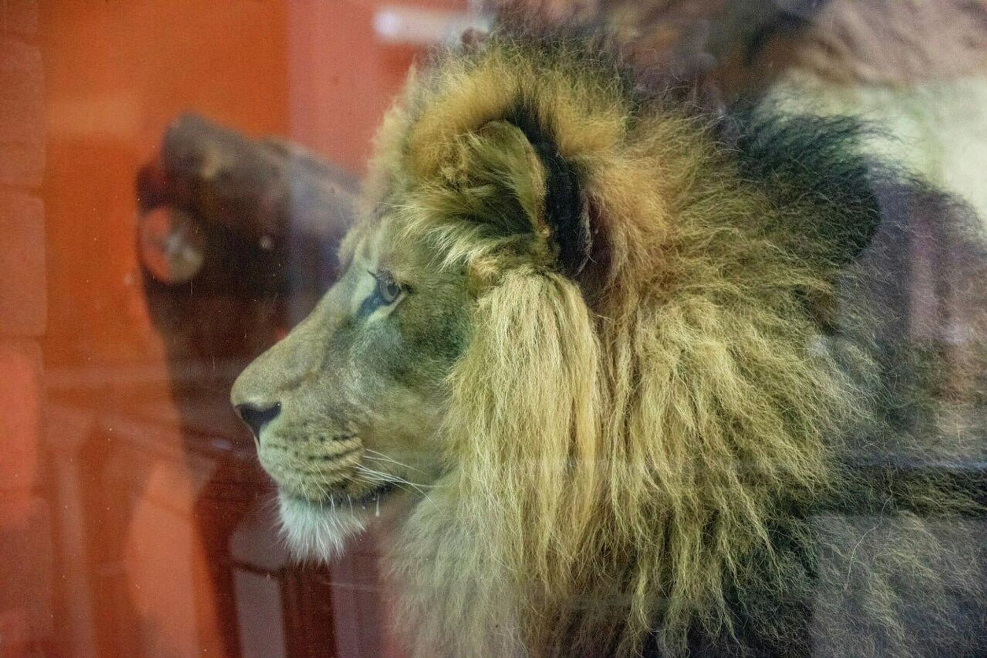 Лев Артик - Sputnik Казахстан, 1920, 04.03.2026