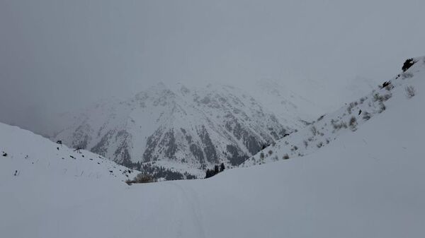 ТЖМ бірнеше облыста қар көшкіні жүруі мүмкін екенін ескертті - Sputnik Қазақстан