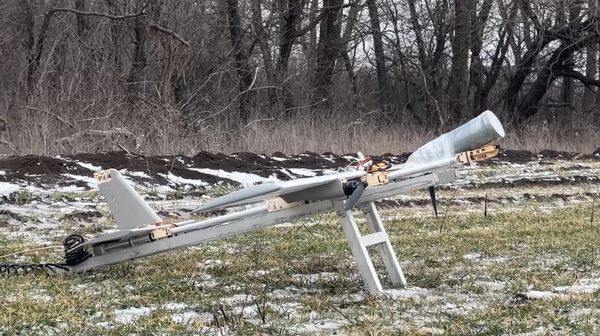 Современные FPV-дроны самолетного типа Молния-2 - Sputnik Казахстан