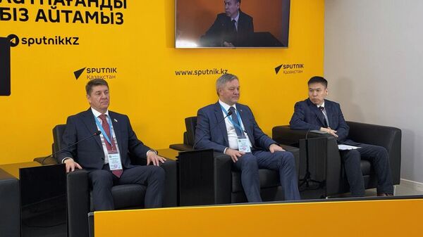 Брифинг наблюдателей от Межпарламентской ассамблеи СНГ - Sputnik Казахстан