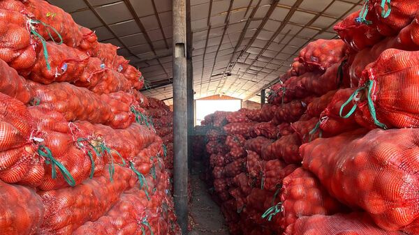 Алматы облысында диқандар 5 мың тонна пиязын сата алмай отыр - Sputnik Қазақстан