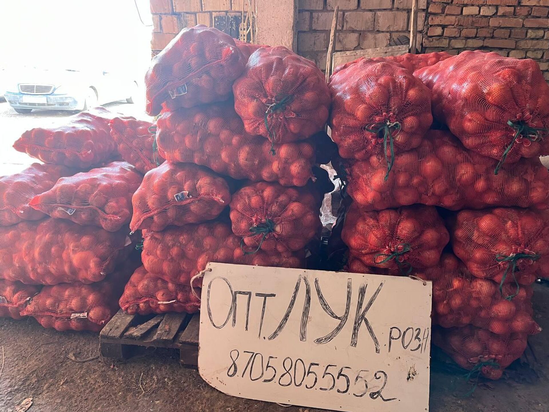 Алматы облысында диқандар 5 мың тонна пиязын сата алмай отыр Алматы облысында диқандар 5 мың тонна пиязын сата алмай отыр - Sputnik Қазақстан, 1920, 18.03.2026