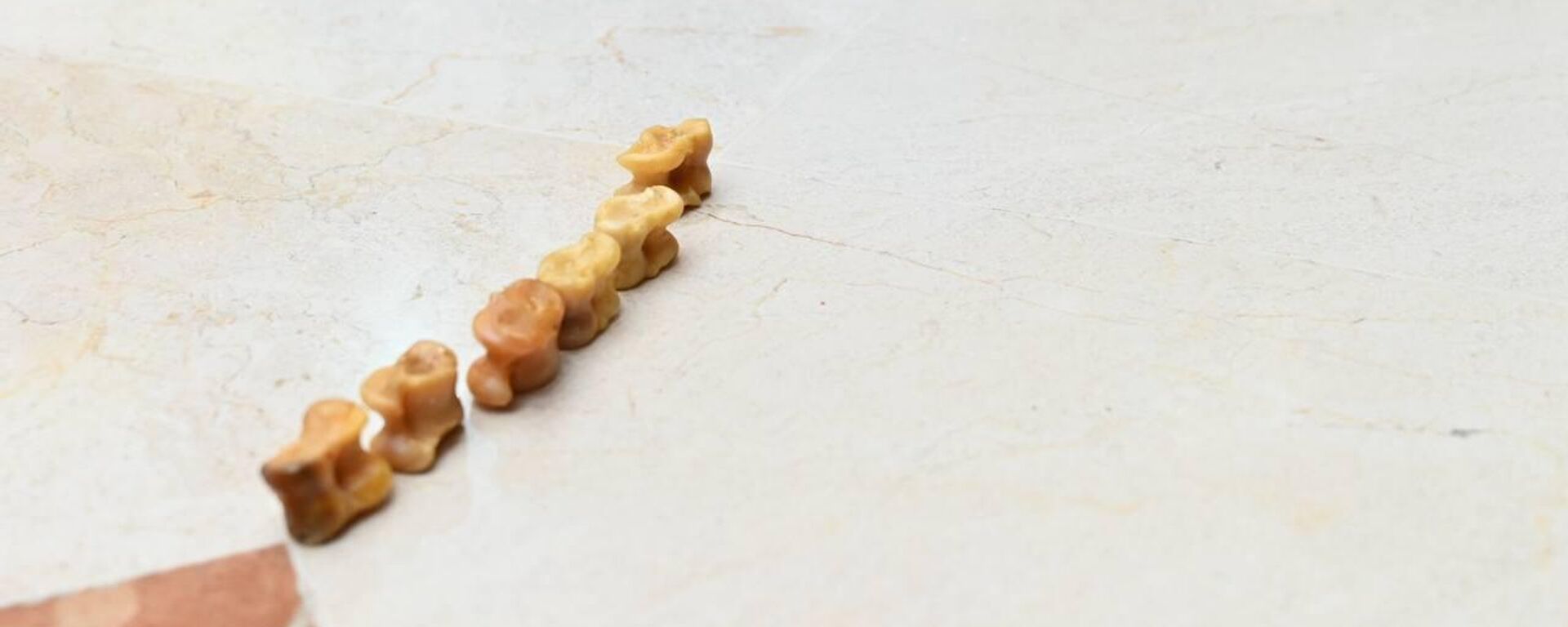 Асық ойыны - Sputnik Қазақстан, 1920, 22.03.2026