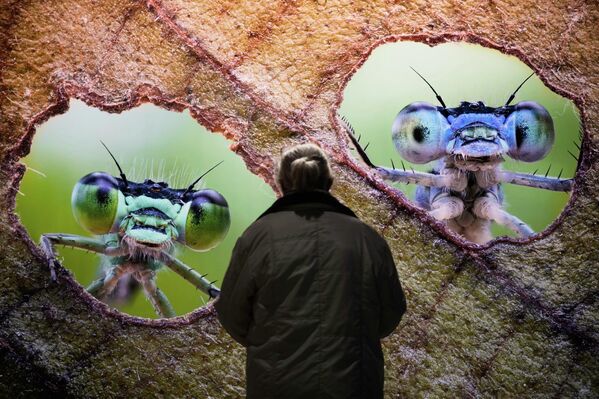 Выставка "Лесные миры" в индустриальном памятнике "Газометр" в Оберхаузене, Германия. - Sputnik Казахстан