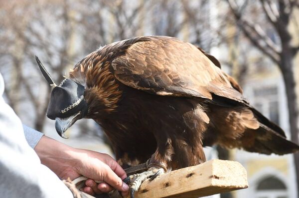 Наурыз празднуют в Алматы - Sputnik Казахстан