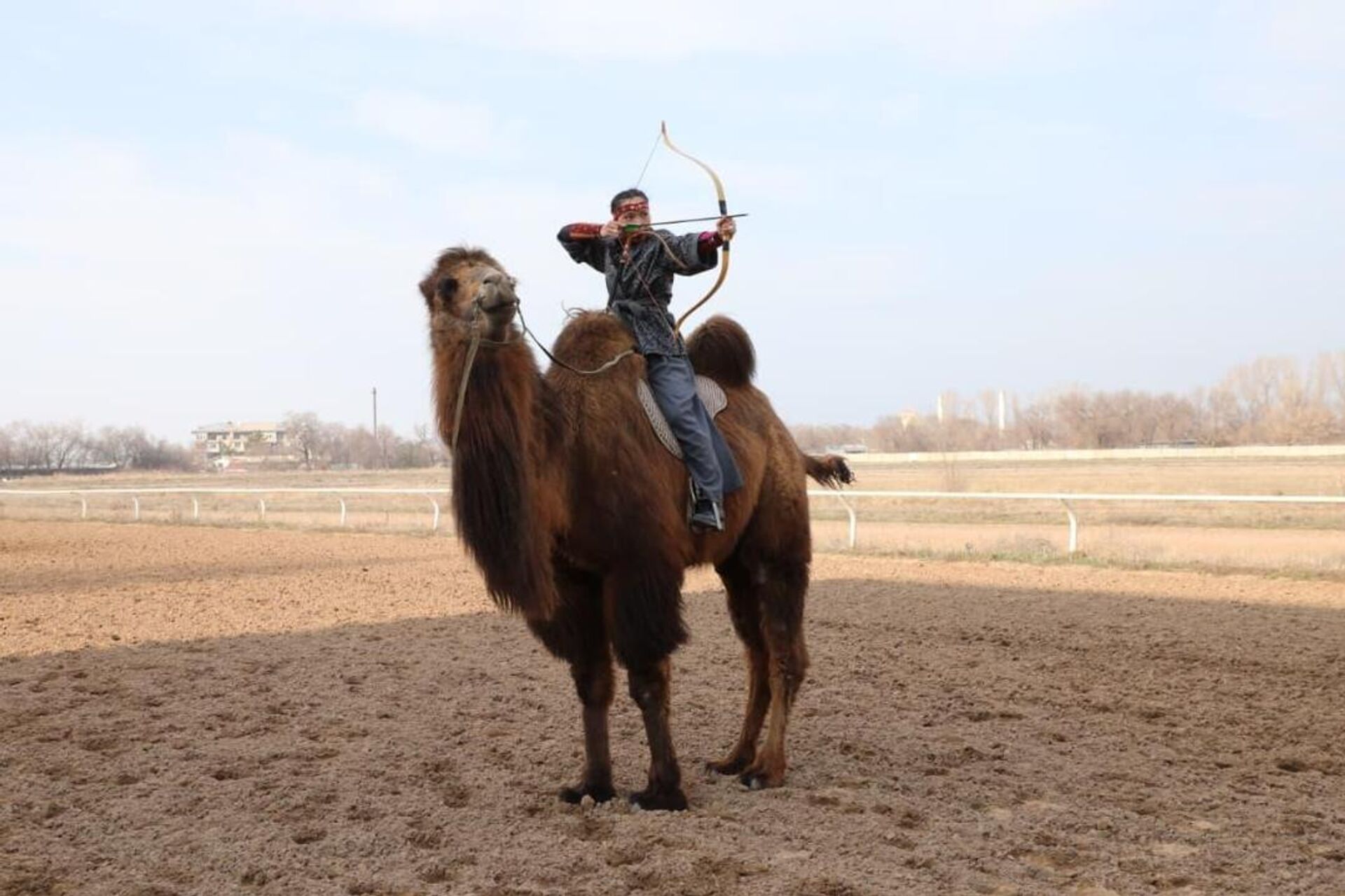 Алматыда түйе үстінде рекорд орнатылды - Sputnik Қазақстан, 1920, 22.03.2026