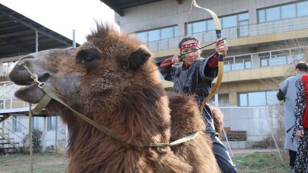 Алматыда түйе үстінде рекорд орнатылды - Sputnik Қазақстан