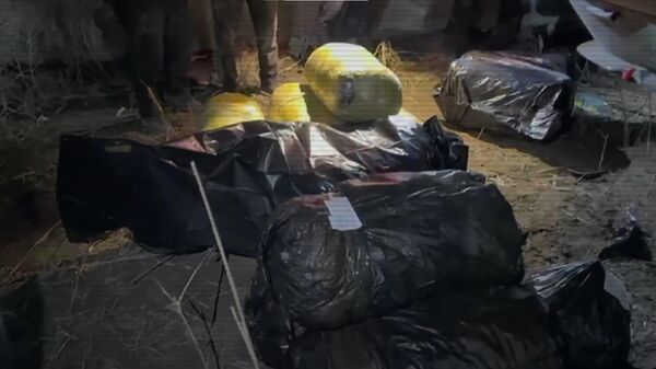 Ұлытау облысында ірі есірткі жеткізу арнасы жойылды - Sputnik Қазақстан