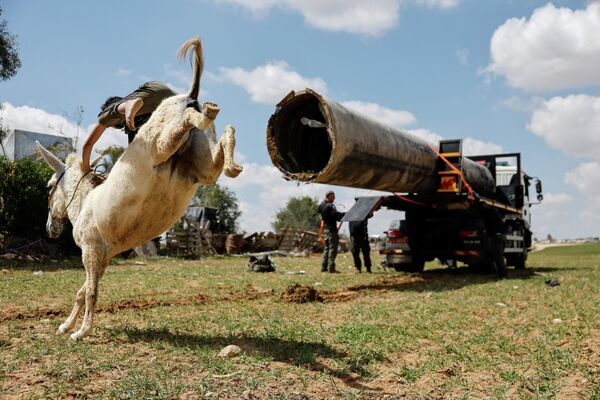 Мальчик - бедуин на осле около упавшей ракеты, которую рабочие загружают в полицейский автомобиль неподалеку от Зааруры, непризнанного бедуинского поселения на юге Израиля. - Sputnik Казахстан