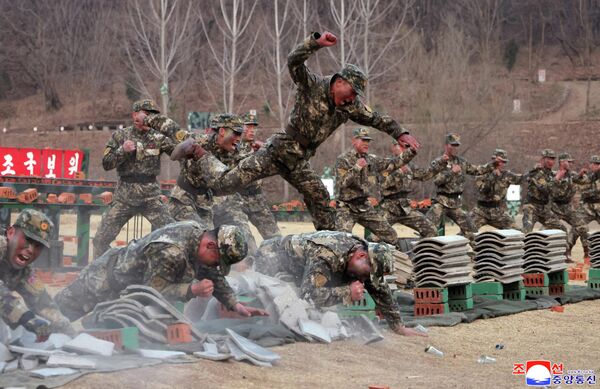 База подготовки спецназа в Северной Корее - Sputnik Казахстан