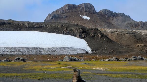 Берег бухты Билогов вблизи станции Беллинсгаузен в Антарктиде - Sputnik Казахстан