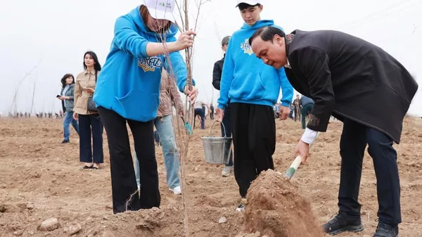 Таразда 10 мың түп ағаш отырғызылды - Sputnik Қазақстан