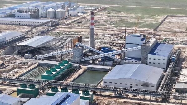 Жамбыл облысында аминқышқылдар өндіретін теңдессіз жоба іске қосылды - Sputnik Қазақстан