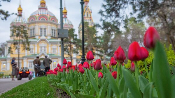 Весна в Алматы  - Sputnik Казахстан