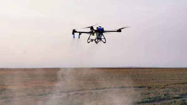 Более 100 дронов поднимут в небо для борьбы с саранчой в Казахстане