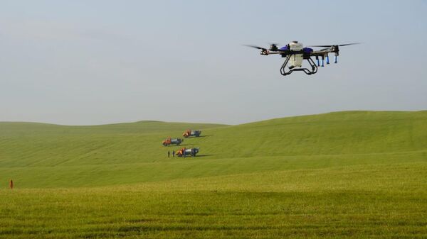 Биыл шегірткеге қарсы 2,2 млн гектардан астам жер өңделеді - Sputnik Қазақстан